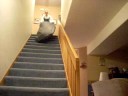 Sliding Down Stairs in Sleeping Bags!