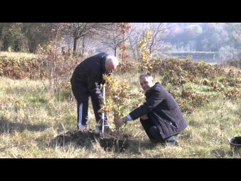 Președintele Timofti a plantat copaci, de Ziua Națională de Înverzire a Plaiului