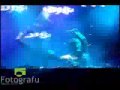 VACUO LIVE + TOCADISCO + REDANKA + SKAZI / HOT PARK 2007