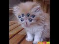 REAL ALIENS!!
