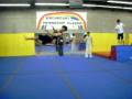 videos de Butterfly Twist December 2008 by DiVaD