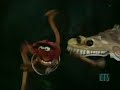 Muppet Show. Kermit and Robin - Octopus\