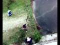 videos de 23112008025.mp4