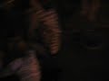 RNC08: Cops fire flash grenades, arrest 200 people on Marion