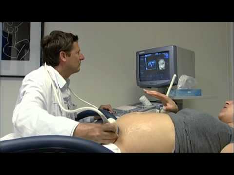 Juaneda Servicio de Obstetricia y Ginecología Juaneda