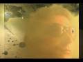 videos de Paul Lopez Airshows 2009 Promo