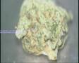 ITV Wales - Wales This Week - Contaminated Cannabis - Part 1