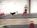 NRR - Turkey Trot - Without A Paddle