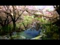 ������ȷ�ϻ�� ���ָ� ��ϻ��饤�ȥ��å� 2010ǯ:YouTube������=57��