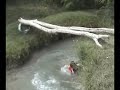 la caida de edgar version ardillitas