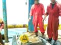 videos de 15kg Mackerral caught along Indian coastline