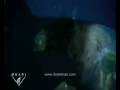 Barreleye Fish - Transparan Balık - www.ibrahimak.com