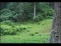 Kemence-erol Dülger.türkü Coban Ahmet 5