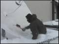 Snow falls and we all fall down