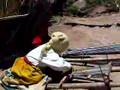 Girl Weaving - Lake Titikaka
