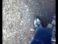 Tomos Avtomatik - mal zajebancije