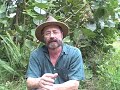 EatTheWeeds: Episode 51: Chinese Elm