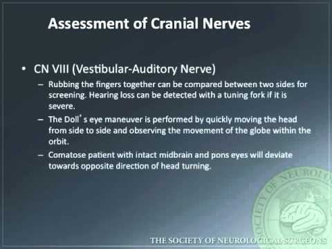 how to assess dermatomes