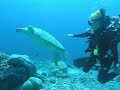 2007 Sipadan 2007 Sipadan