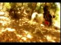 IAS Video - Fight for Freedom