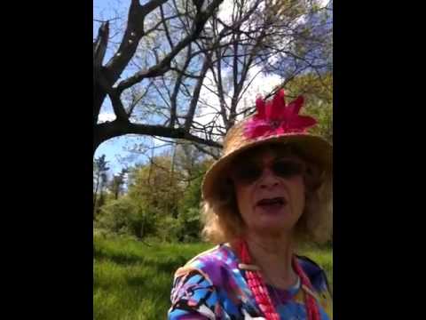 grandma michele -