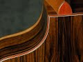 breedlove c25