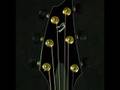 breedlove c25