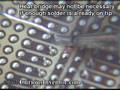 How and WHY to Solder Correctly