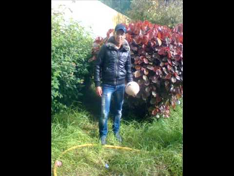 harni -