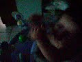 SANY0042