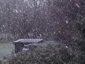 Ninsoare in seara dinaintea nasterii Dorei Ninsoare in seara dinaintea nasterii Dorei
