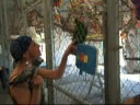 World Parrot Refuge - Reunion