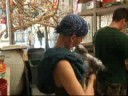 World Parrot Refuge - Reunion