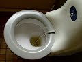 French Pay Toilet