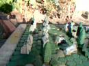 Heroscape - Swamp Haven flyby