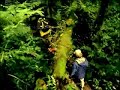 Panama Tourism Promotional Video www.ati.travel
