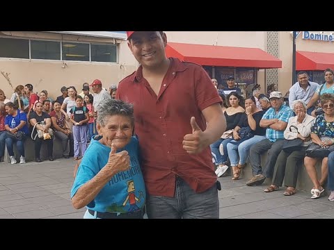 動画
