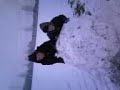 Snow! (6.1.10)