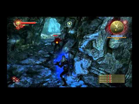 The Witcher 2 : Assassins of Kings