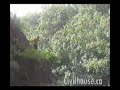 Cliff jump Cliff jump