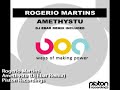 label manager rogerio martins puts out his first release on his own piston label named 