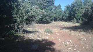 Idrissi Moulay Driss.WMV