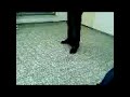 Dtje man appelt!!