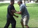 Sep 27 2008 - Double Push Hands using Arms and whole body Sep 27 2008 - Double Push Hands using Arms and whole body