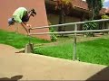 Parkour Cianorte
