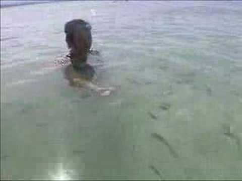 Feeding Nemo at Pulau Mamutik