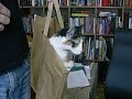 Katten i sækken Katten i sækken