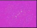 sPyChOoL - Walk Alone (feat. Kate Lesing)