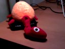 New turtle from Ikea