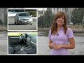VW Jetta - Used Car Report VW Jetta - Used Car Report